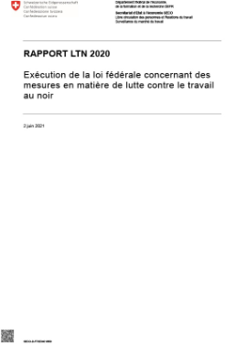 Rapport LTN 2020 - Exécution de la loi fédérale concernant des mesures en matière de lutte contre le travail au noir